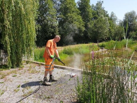 unkrautbekämpfung-wasserdampf